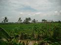 DSCF0348