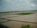 DSCF0351