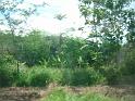 DSCF0359