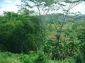 DSCF0360