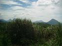 DSCF0363