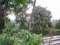 DSCF0474