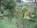 DSCF0478