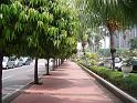 DSCF0195