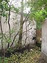 DSCF0258