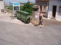 DSCF0521