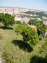 DSCF0551