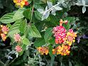 DSCF0049