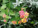 DSCF0050