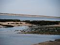 DSCF0386