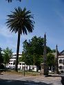 DSCF0442