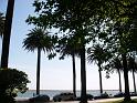 DSCF0459